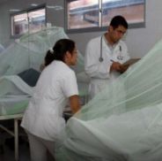 Confirmaron una muerte por dengue en Jujuy: la primera de 2022