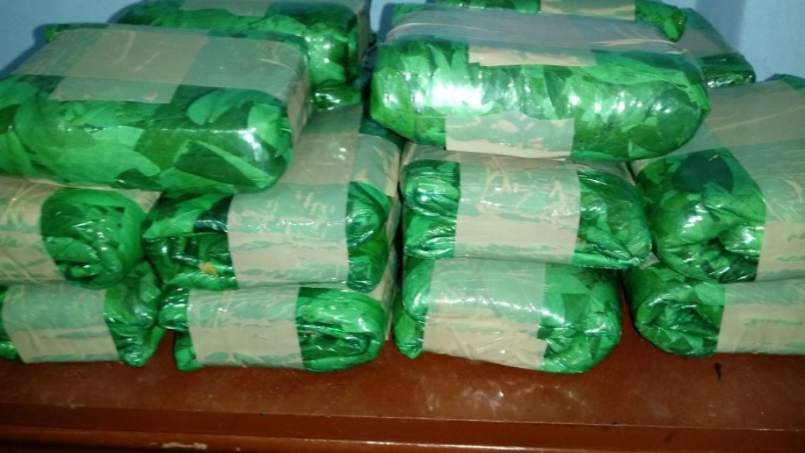 Cómo se haría la distribución de coca gratis en Jujuy