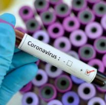 Coronavirus  Argentina: reportaron 23 muertos y 47.663 nuevos contagios