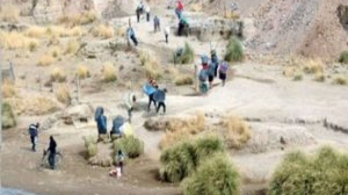 "La circulaci�n entre Jujuy y Bolivia est� totalmente prohibida" 