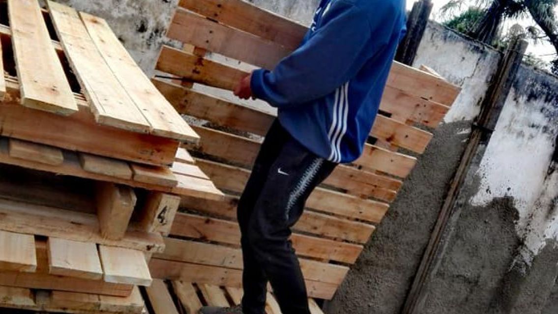 Changuito de 19 años cobró el IFE y compró pallets: hace maravillas con sus manos