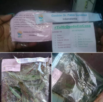 Polémico: En un lugar de Salta repartieron bolsas de eucaliptos para calmar síntomas de coronavirus