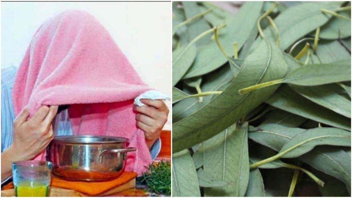 Lo estabas haciendo mal: así deben hacer los vapores de eucalipto a los contagiados