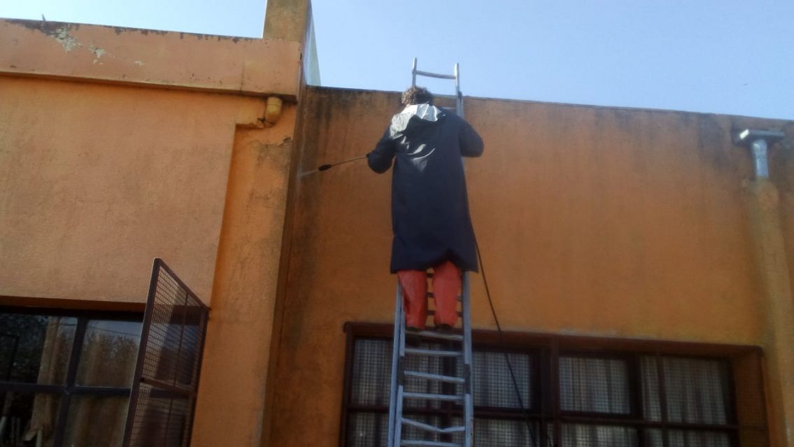 Potenciar Trabajo en vez de IFE: cómo inscribirse y qué requisitos te piden