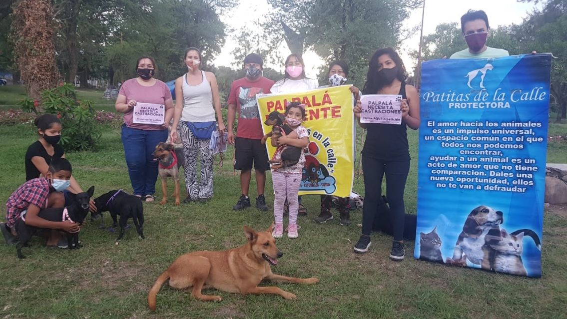 Proteccionistas exigen castraciones en Palpal� y una ordenanza definitiva