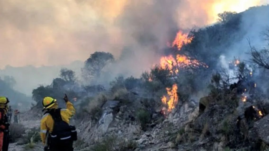 Tras los terribles incendios, preparan un plan de reforestaci�n 
