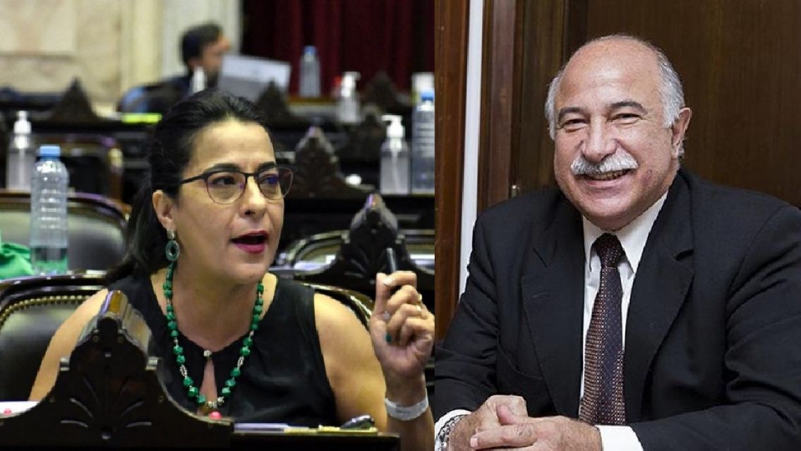 Moisés tildó de hipócrita a Fiad: "Sabe quiénes hacen abortos clandestinos"