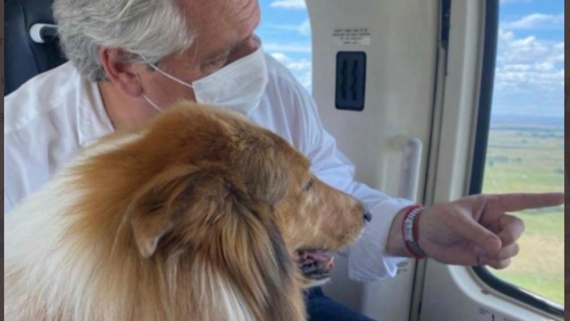 Alberto llevó a pasear a su perro en helicóptero y se armó un escándalo