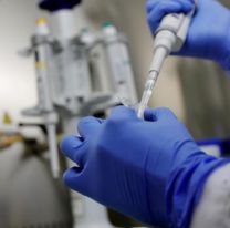 Coronavirus Jujuy: confirmaron 252 nuevos contagios