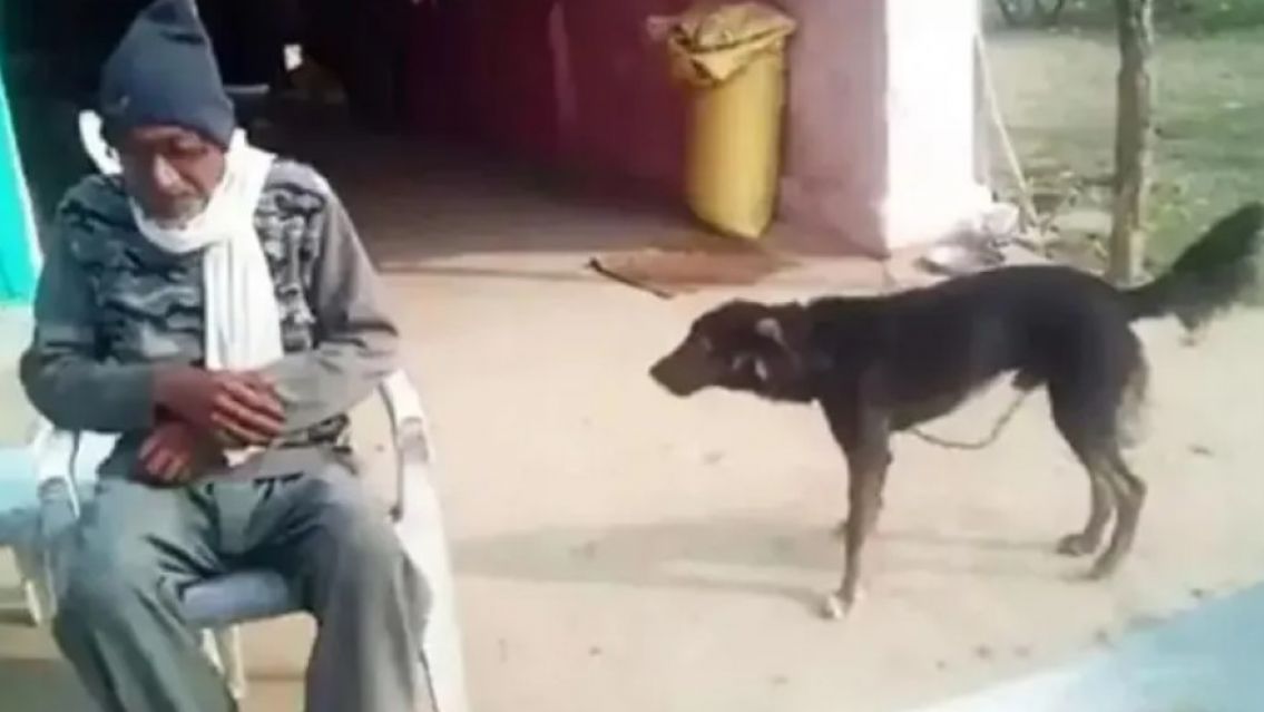 "Me quiere más que mi familia": decepcionado de sus hijos, le dejó la herencia a su perro