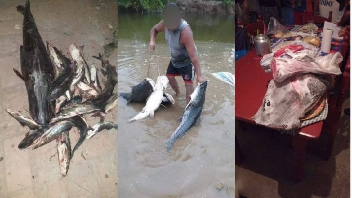 Juje�os saquearon el r�o en plena veda: no dejaron ni un renacuajo�