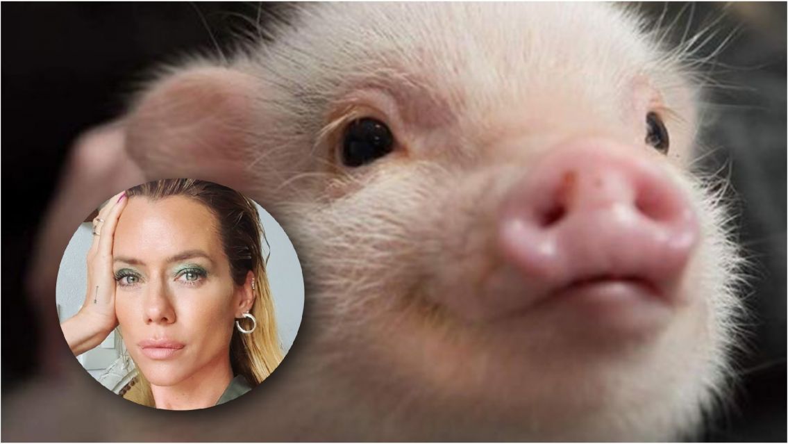 Nicole Neumann rescató una chanchita que iba a ir al asador: así se llama