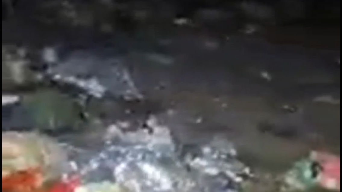 Imagen VideoTar.