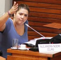 Por orden judicial Alejandra Cejas no se puede acercar a su hija