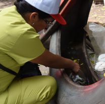 Jujuy no reportó casos de Dengue durante el primer semestre de 2022