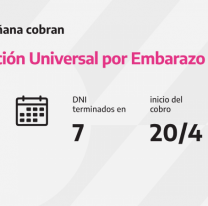 Prestá mucha atención, calendario de pago de ANSES