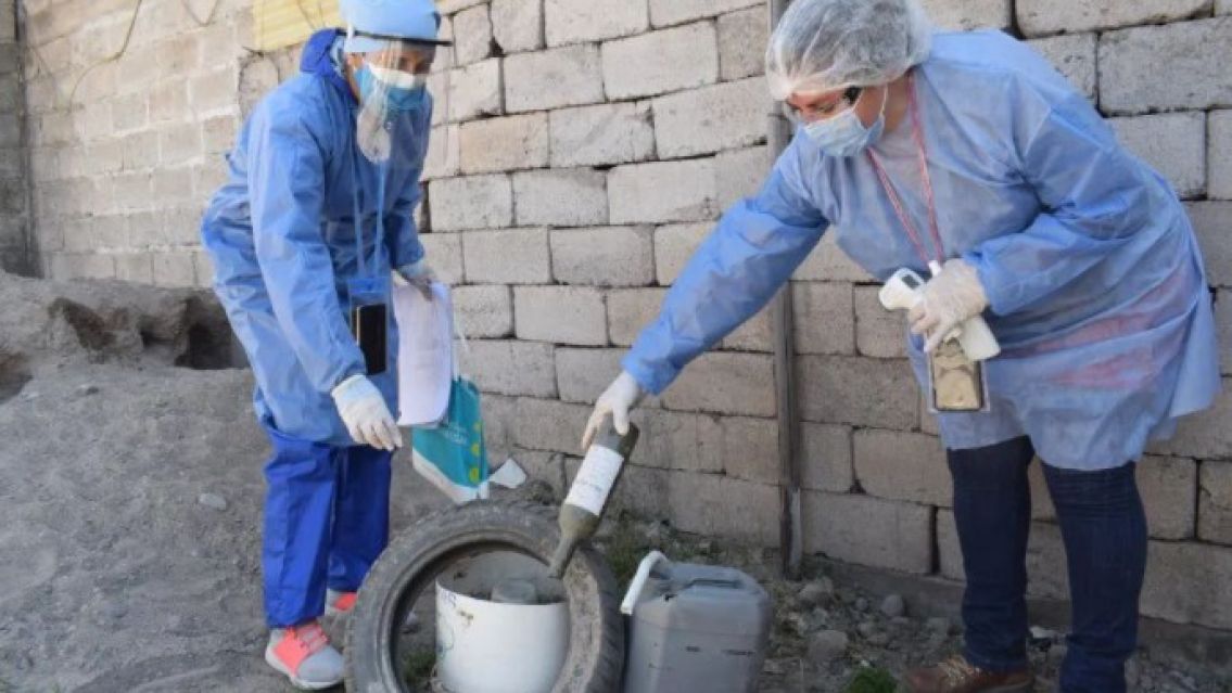 Dengue en Jujuy: informe oficial en el inicio del 2023