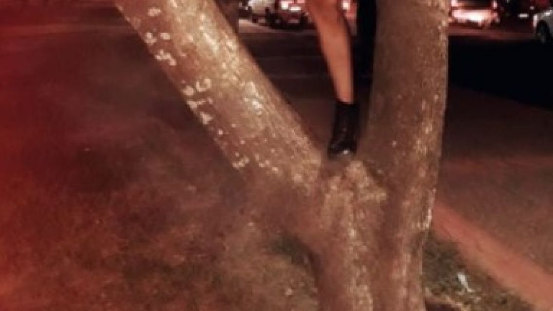 Juje�a sali� a hacer gimnasia y se subi� arriba de un �rbol casi desnuda  