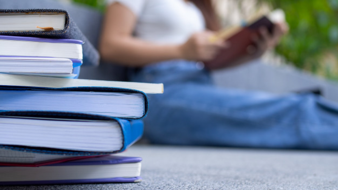 "¿Para cuándo un bono para los estudiantes?", el reclamo de una norteña ante "tantos planes del Gobierno"