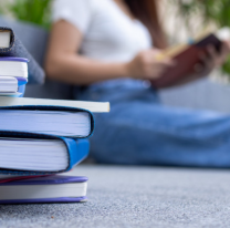 "¿Para cuándo un bono para los estudiantes?", el reclamo de una norteña ante "tantos planes del Gobierno"