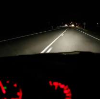 Se filtraron fotos de una extraña criatura caminando por la ruta