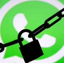 Ojo con Cuevana, pdf de libros y todo lo "pirata" porque WhatsApp empezó a cerrar cuentas