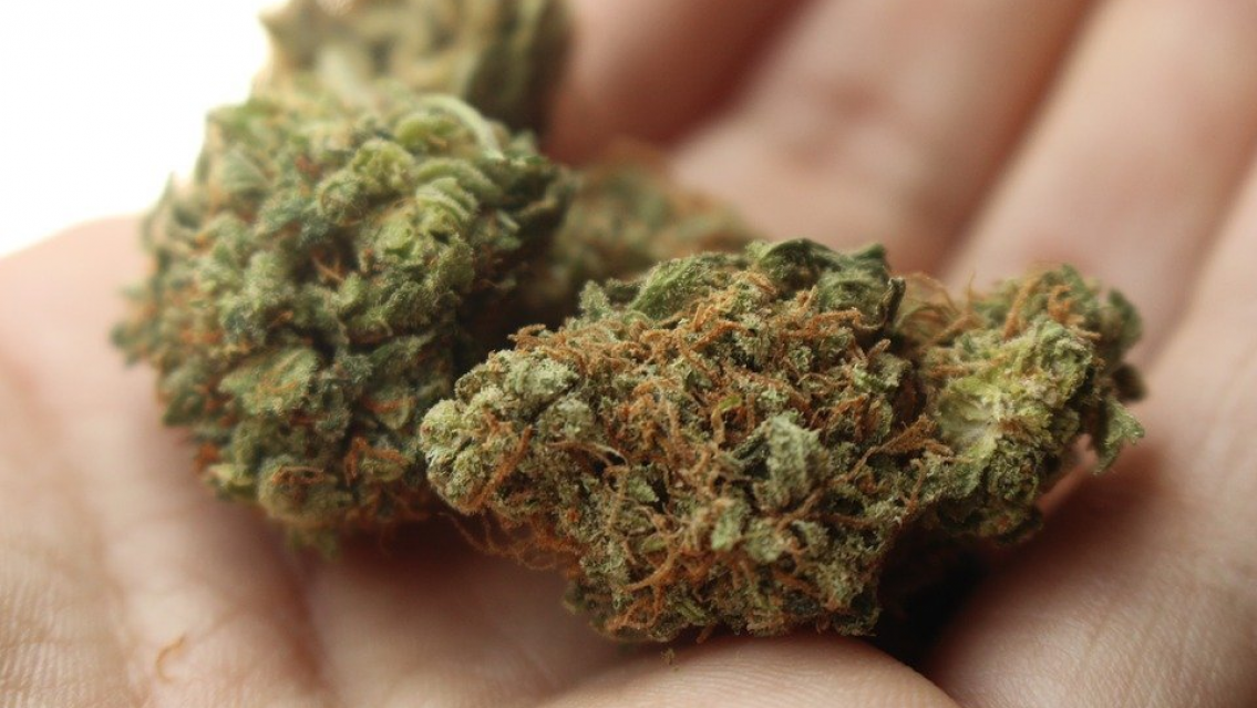 Por casi 300 gramos de marihuana "para consumo personal", le abrieron una causa por tenencia de estupefacientes