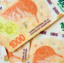 ANSES: ¿Cómo cobrar más de $10.000 en la semana del 14 al 18 de junio?