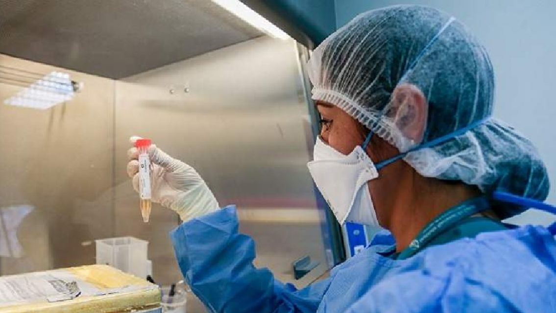 Coronavirus en Jujuy: Se registraron 189 nuevos contagios y dos fallecimientos