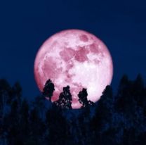 Luna de fresa, la última superluna del 2021: ¿Cuándo es y cómo puede verse?
