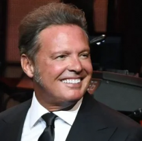 Internaron de urgencia a Luis Miguel. Dolor y gritos, qué le pasó