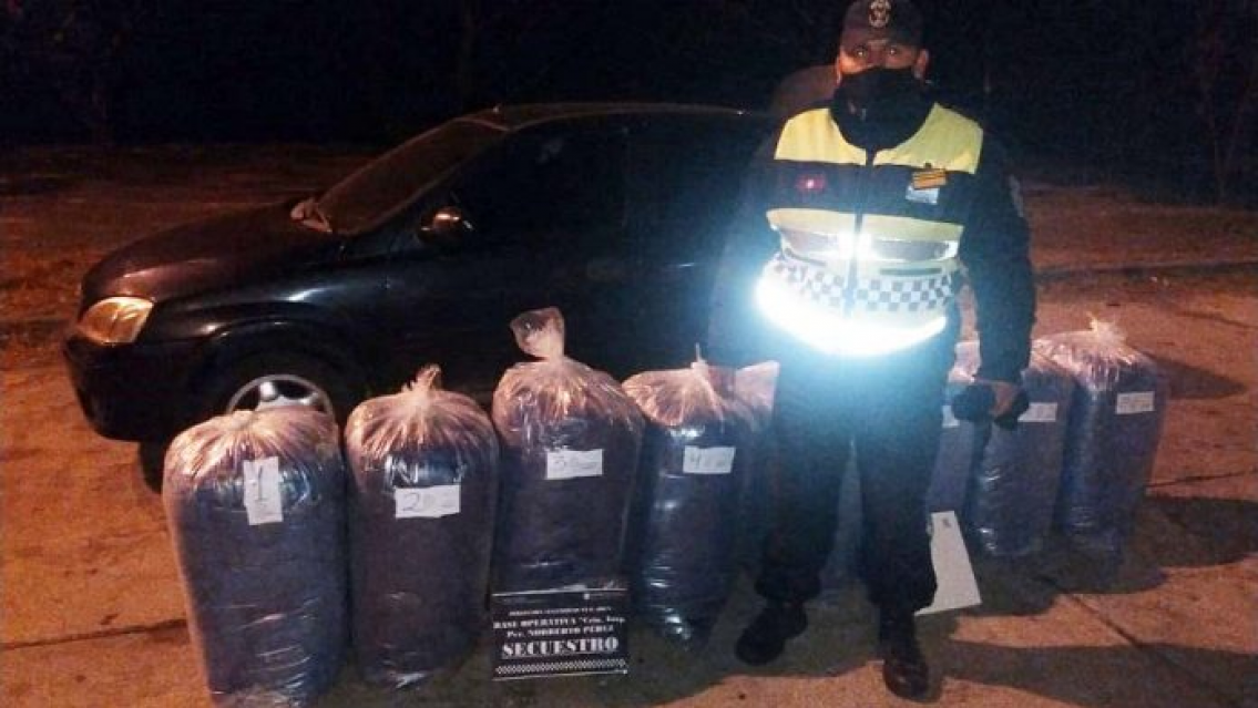 En esta localidad norte�a incautaron coca valuada en m�s de medio mill�n de pesos