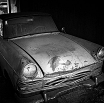 Una mujer usó por un año, el auto con los cadáveres de sus sobrinos en el baúl