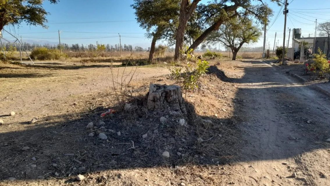 Foto: Jujuy Al Momento