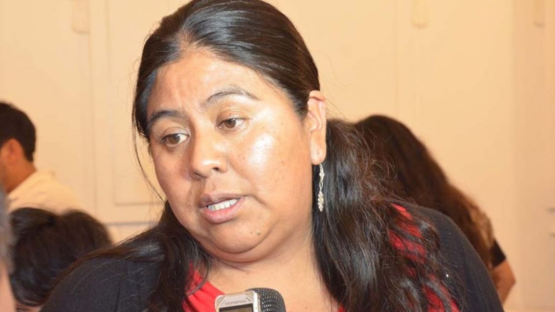 Sarapura ser� diputada nacional por Jujuy tras la salida de Bouhid