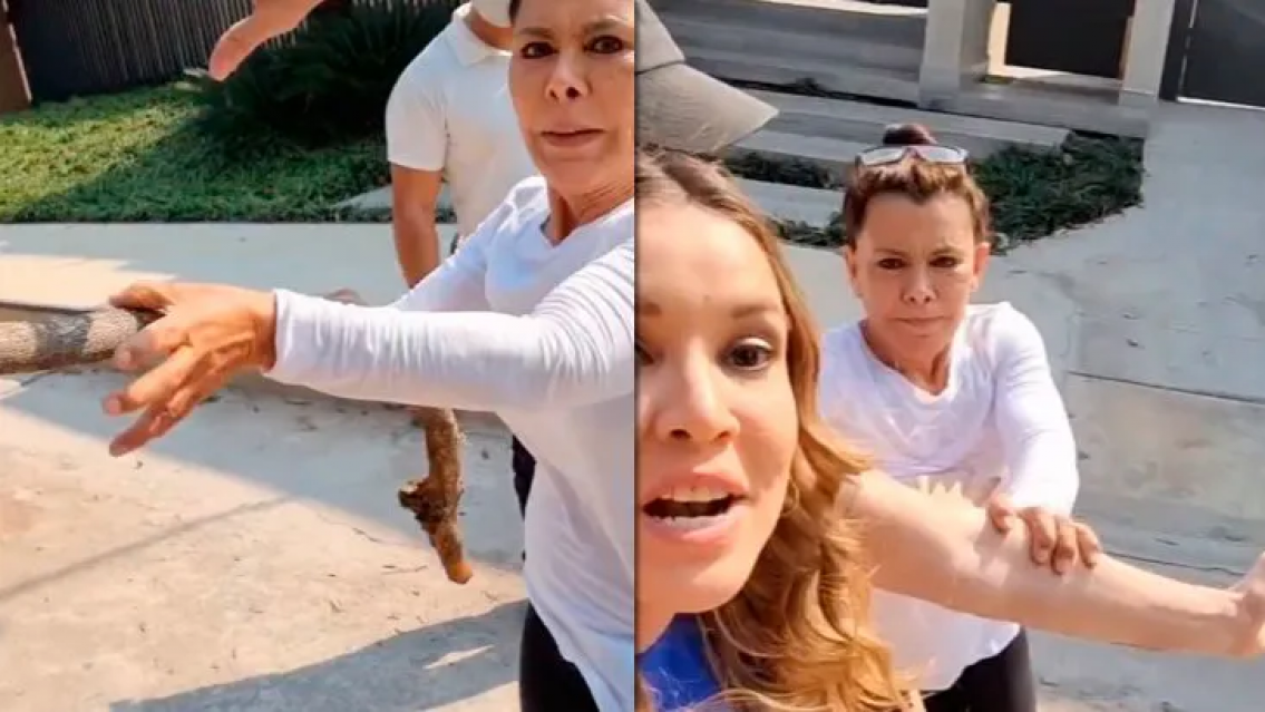 Agredieron con un palo a Dallys Ferreira en plena calle. Hay imágenes nítidas del hecho