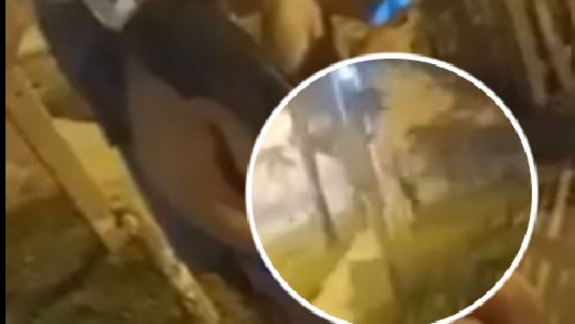 Apareci� un duende en un barrio norte�o: fue filmada por varios changuitos