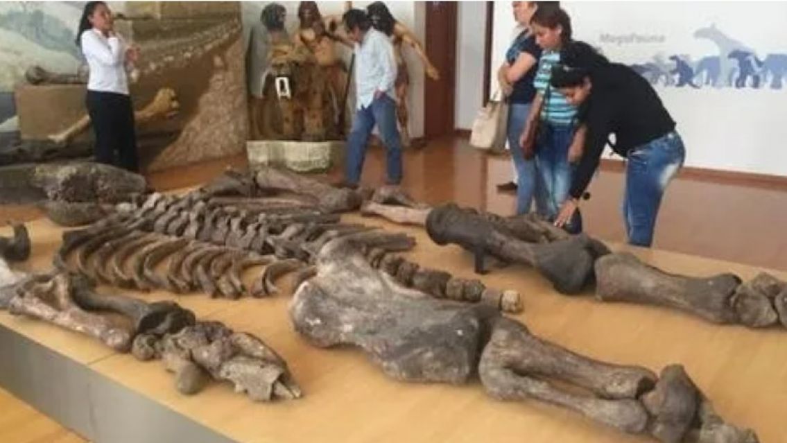 Gigantes de Loja: el misterio sin resolver en el corazón de la selva de Ecuador