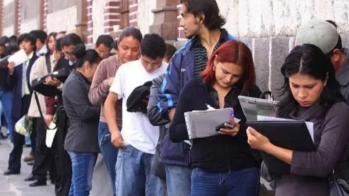 ¿Cómo convierto mi plan social en trabajo genuino? Lo que dice el decreto del Presidente