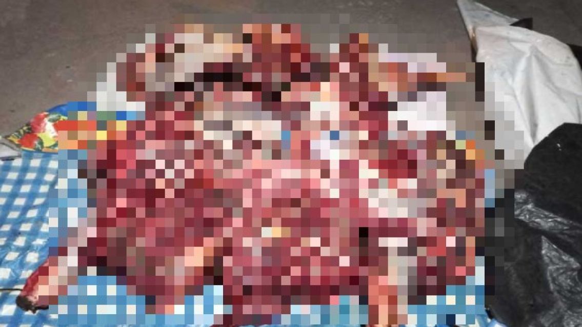 Sal�a un fuerte olor del ba�l y cuando lo abrieron descubrieron lo peor: "Dos orejas"