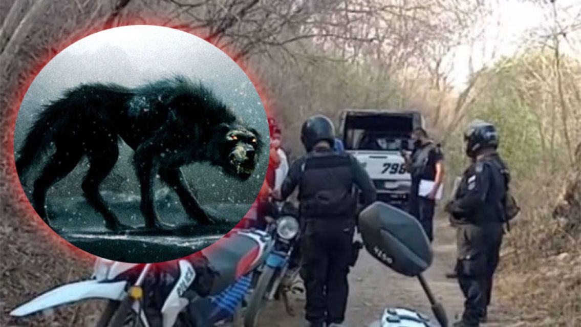 Un cuerpo hallado en un ingenio de Jujuy y la cacería del "perro familiar"