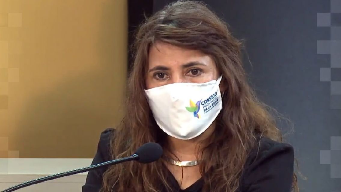 Consejo de la Mujer de Jujuy: Mart�nez present� su informe sobre la Ley Iara