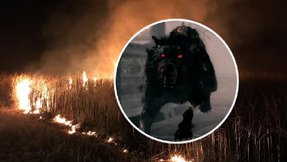 El Familiar apareció en la previa de Halloween: casi se lleva cuatro jóvenes