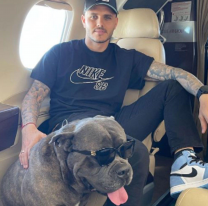 Mauro Icardi le pag&oacute; el viaje a la China Su&aacute;rez para que se vean. Wanda estall&oacute; de furia