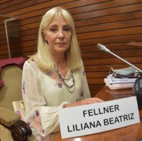 Fellner lamentó el "silencio complice" por las denuncias de abuso a Nasif