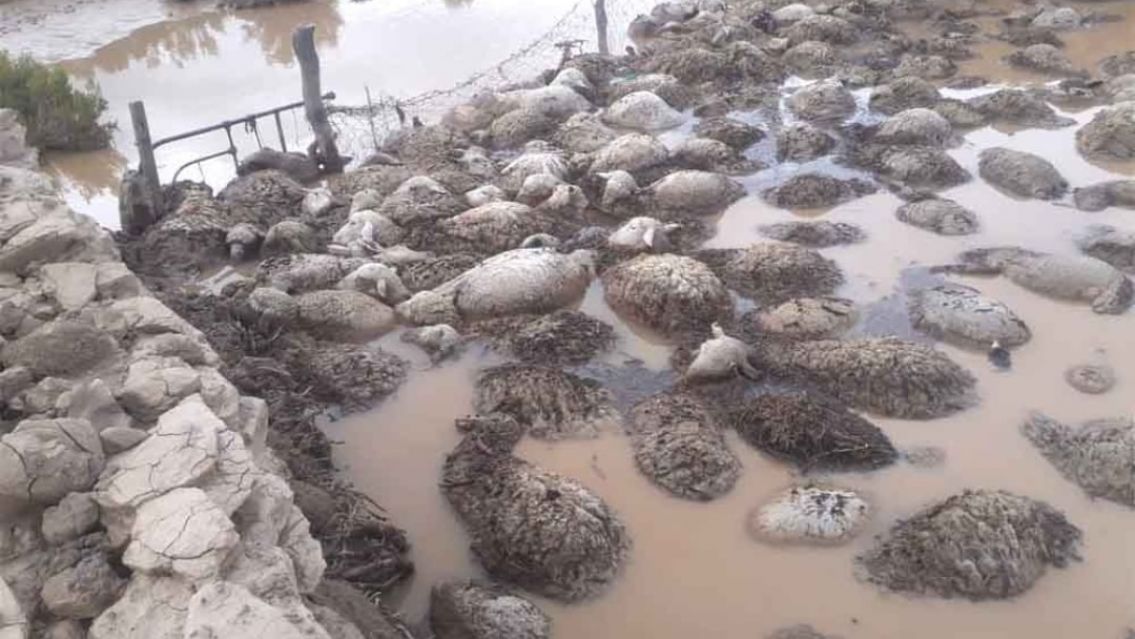 Foto: Diario de Abra Pampa