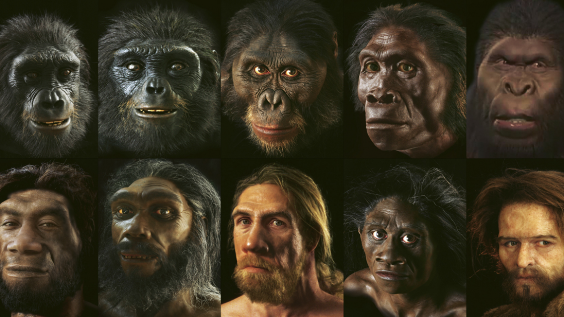 Cuándo será la extinción de la humanidad: lo dice la ciencia, "es algo inevitable"