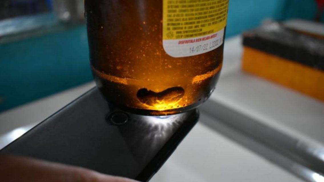 Se compraron una birra pero a mitad del trago se toparon con algo asqueroso