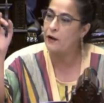 Carolina Moisés furiosa con Patricia Bullrich: dijo que es la culpable de que no se apruebe el presupuesto 