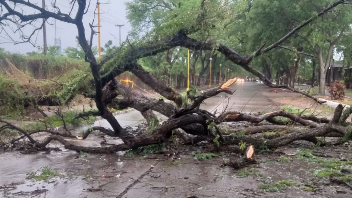 El temporal en Jujuy dejó barrios sin energía eléctrica y registran daños materiales